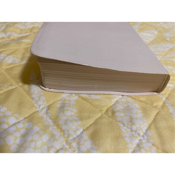 Dreamsicles Bible: New King James Version, leather bound - Picture 15 of 16